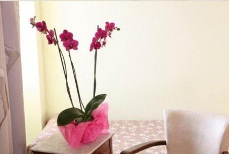 Logis Hotel Le Clos Des Oliviers บูร์ก-แซ็ง-ต็องเดอ็อล ห้อง รูปภาพ